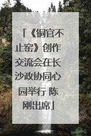 《铜官不止窑》创作交流会在长沙政协同心园举行 陈刚出席