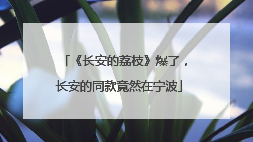 《长安的荔枝》爆了，长安的同款竟然在宁波