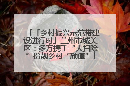「乡村振兴示范带建设进行时」兰州市城关区：多方携手“大扫除”扮靓乡村“颜值”