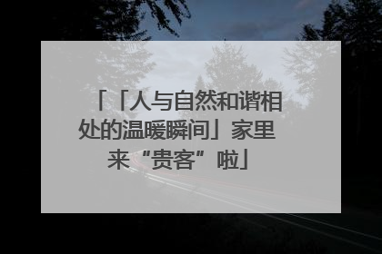 「人与自然和谐相处的温暖瞬间」家里来“贵客”啦