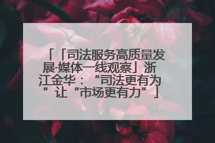 「司法服务高质量发展·媒体一线观察」浙江金华：“司法更有为”让“市场更有力”