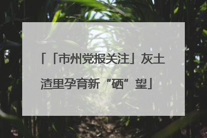 「市州党报关注」灰土渣里孕育新“硒”望