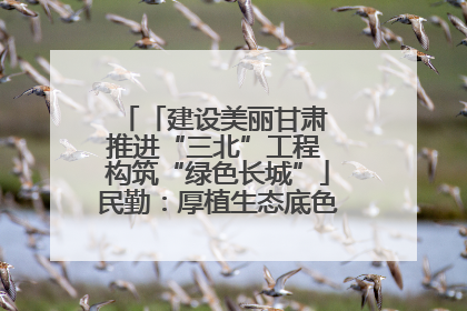 「建设美丽甘肃 推进“三北”工程 构筑“绿色长城”」民勤：厚植生态底色 筑牢绿色屏障