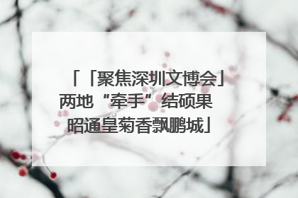 「聚焦深圳文博会」两地“牵手”结硕果 昭通皇菊香飘鹏城