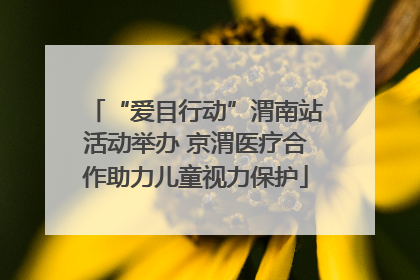 “爱目行动”渭南站活动举办 京渭医疗合作助力儿童视力保护