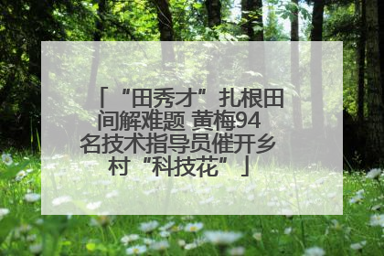 “田秀才”扎根田间解难题 黄梅94名技术指导员催开乡村“科技花”
