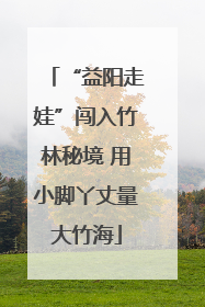 “益阳走娃”闯入竹林秘境 用小脚丫丈量大竹海