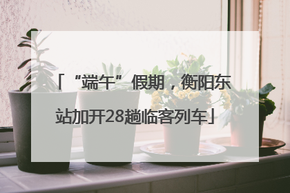 “端午”假期，衡阳东站加开28趟临客列车