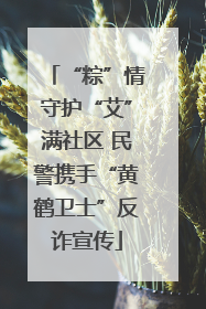 “粽”情守护“艾”满社区 民警携手“黄鹤卫士”反诈宣传
