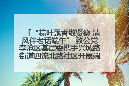“粽叶飘香敬贤德 清风伴老话端午” 致公党李沧区基层委携手兴城路街道四流北路社区开展端午节主题活动