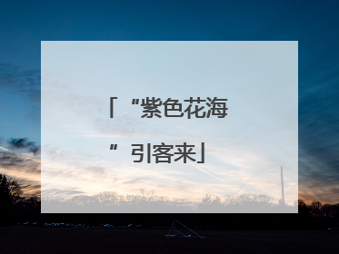 “紫色花海”引客来