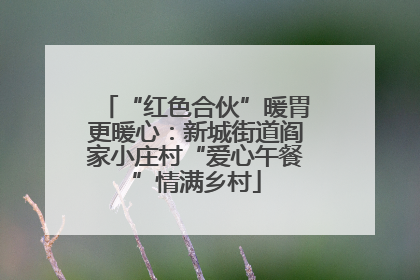 “红色合伙”暖胃更暖心：新城街道阎家小庄村“爱心午餐”情满乡村