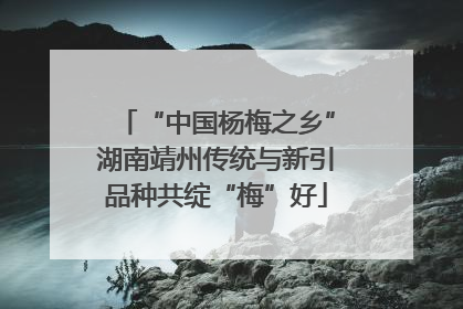 “中国杨梅之乡”湖南靖州传统与新引品种共绽“梅”好