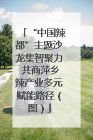 “中国辣都”主题沙龙集智聚力 共商萍乡辣产业多元赋能路径（图）