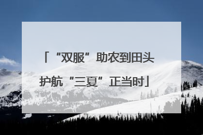 “双服”助农到田头 护航“三夏”正当时