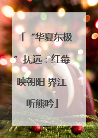 “华夏东极”抚远：红莓映朝阳 界江听熊吟