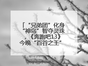 “兄弟团”化身“神鸟”智夺灵珠，《奔跑吧13》今晚“百谷之王”花落谁家？