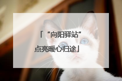 “向阳驿站”点亮暖心归途