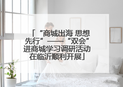 “商城出海 思想先行”——“双会”进商城学习调研活动在临沂顺利开展