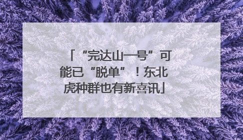 “完达山一号”可能已“脱单”！东北虎种群也有新喜讯
