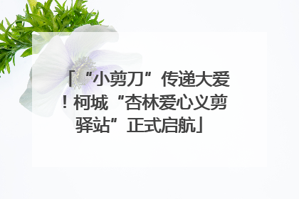 “小剪刀”传递大爱！柯城“杏林爱心义剪驿站”正式启航