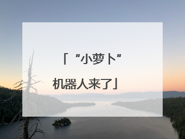 “小萝卜”机器人来了