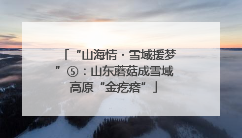 “山海情・雪域援梦”⑤：山东蘑菇成雪域高原“金疙瘩”
