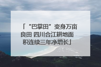 “巴掌田”变身万亩良田 四川合江耕地面积连续三年净增长
