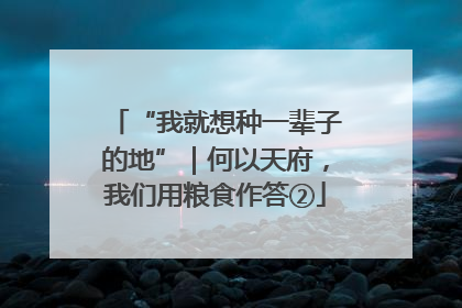 “我就想种一辈子的地”｜何以天府，我们用粮食作答②