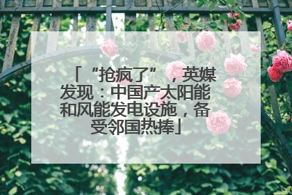 “抢疯了”，英媒发现：中国产太阳能和风能发电设施，备受邻国热捧