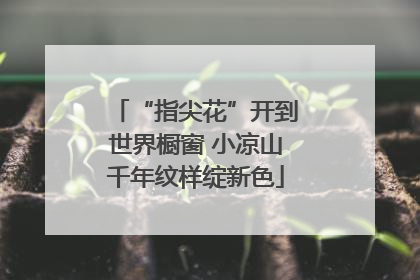 “指尖花”开到世界橱窗 小凉山千年纹样绽新色