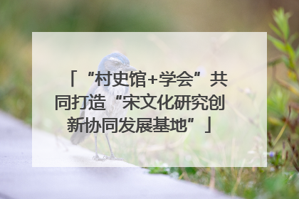 “村史馆+学会”共同打造“宋文化研究创新协同发展基地”
