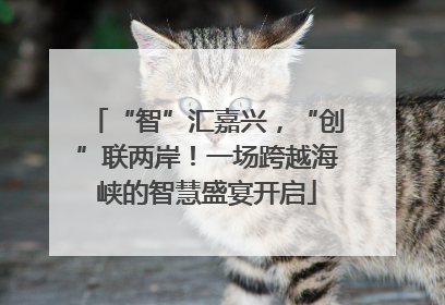 “智”汇嘉兴，“创”联两岸！一场跨越海峡的智慧盛宴开启