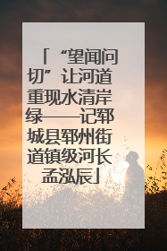 “望闻问切”让河道重现水清岸绿——记郓城县郓州街道镇级河长孟泓辰