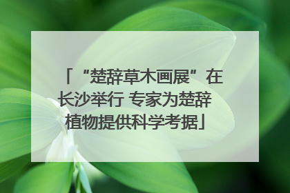 “楚辞草木画展”在长沙举行 专家为楚辞植物提供科学考据