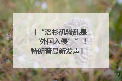 “洛杉矶骚乱是‘外国入侵’”！特朗普最新发声