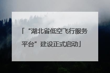 “湖北省低空飞行服务平台”建设正式启动