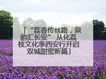 “荔香传丝路，泉韵汇长安” 从化荔枝文化季西安行开启双城甜蜜新篇