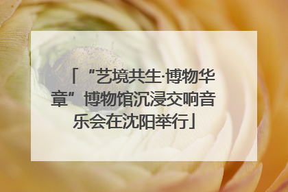 “艺境共生·博物华章”博物馆沉浸交响音乐会在沈阳举行