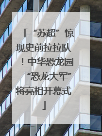 “苏超”惊现史前拉拉队！中华恐龙园“恐龙大军”将亮相开幕式