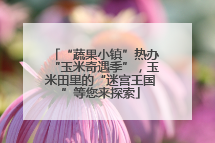 “蔬果小镇”热办“玉米奇遇季”，玉米田里的“迷宫王国”等您来探索