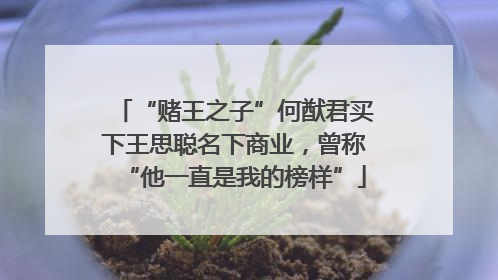 “赌王之子”何猷君买下王思聪名下商业，曾称“他一直是我的榜样”