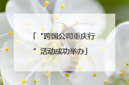“跨国公司重庆行”活动成功举办