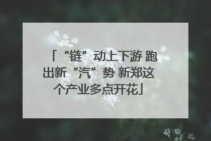 “链”动上下游 跑出新“汽”势 新郑这个产业多点开花