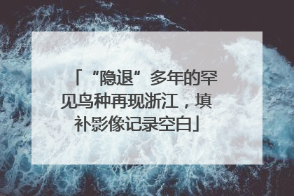 “隐退”多年的罕见鸟种再现浙江，填补影像记录空白