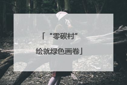“零碳村” 绘就绿色画卷