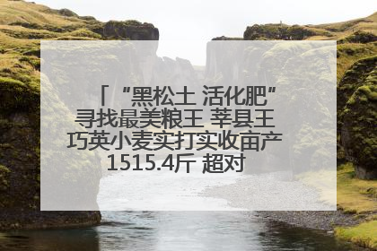 “黑松土 活化肥”寻找最美粮王 莘县王巧英小麦实打实收亩产1515.4斤 超对照田144斤！