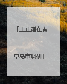 王正谱在秦皇岛市调研