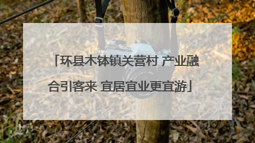 环县木钵镇关营村 产业融合引客来 宜居宜业更宜游