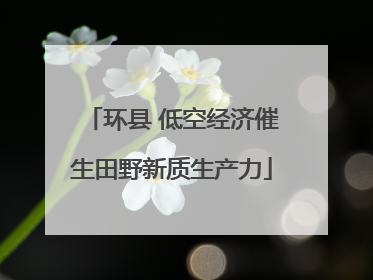 环县 低空经济催生田野新质生产力